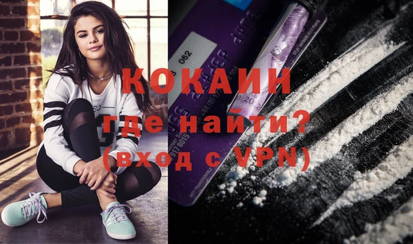 apvp Бородино