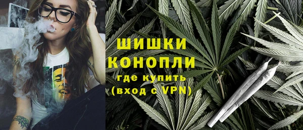 мескалин Богородицк
