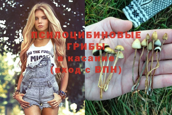 спайс Белоозёрский