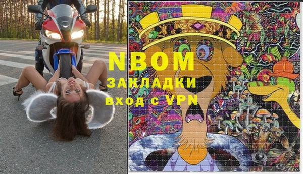 гашик Белокуриха