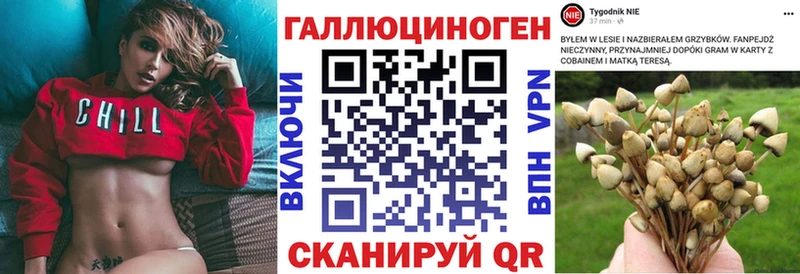 Псилоцибиновые грибы мицелий  купить   Вилюйск 