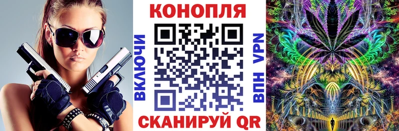 Канабис OG Kush как найти закладки Вилюйск